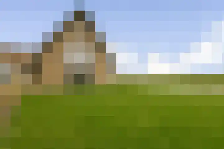 Laan van Zwethof 12 Zoeterwoude thumbnail 15
