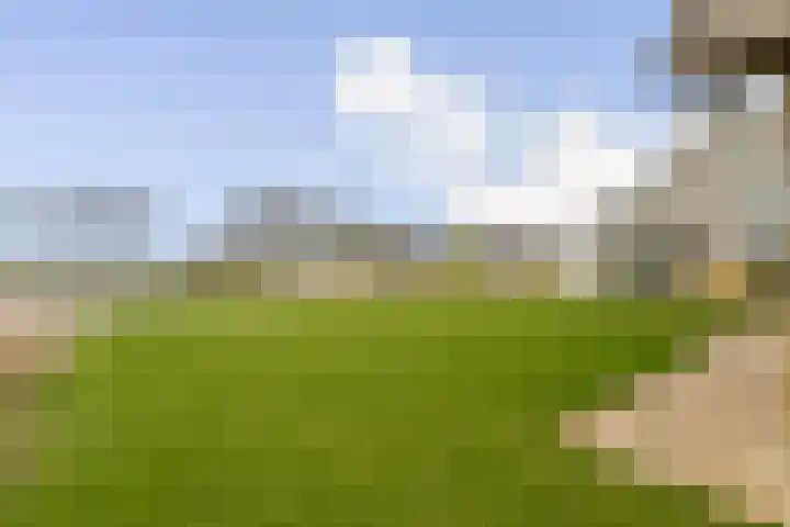 Laan van Zwethof 12 Zoeterwoude thumbnail 16