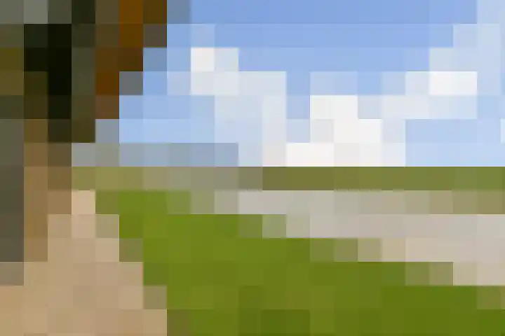 Laan van Zwethof 12 Zoeterwoude thumbnail 17