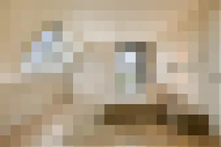 Laan van Zwethof 12 Zoeterwoude thumbnail 18