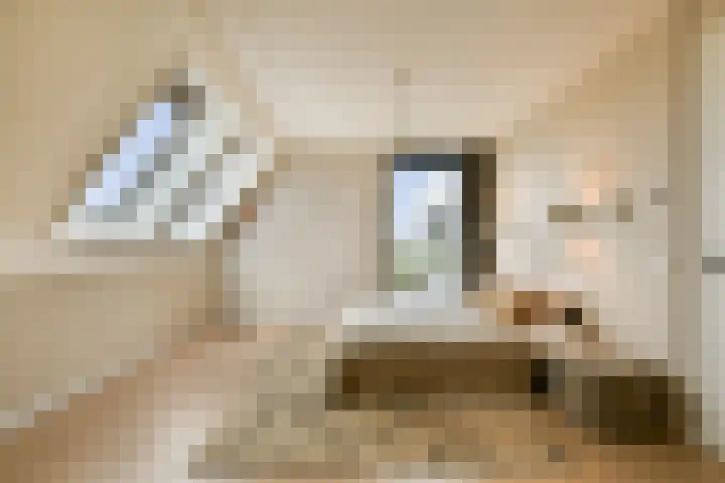 Laan van Zwethof 12 Zoeterwoude thumbnail 18
