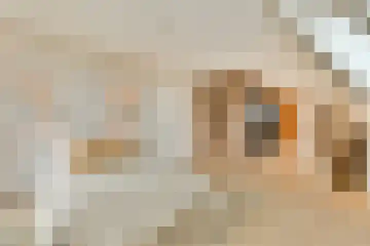 Laan van Zwethof 12 Zoeterwoude thumbnail 19
