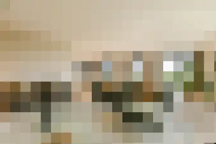 Laan van Zwethof 12 Zoeterwoude foto 2