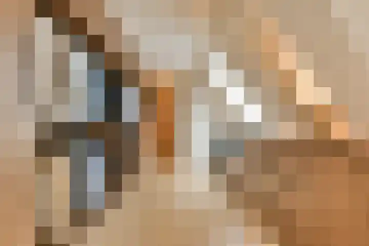 Laan van Zwethof 12 Zoeterwoude thumbnail 20