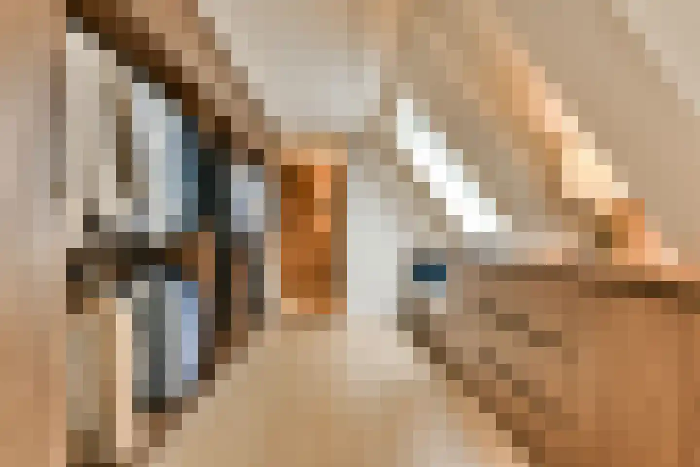 Laan van Zwethof 12 Zoeterwoude thumbnail 20