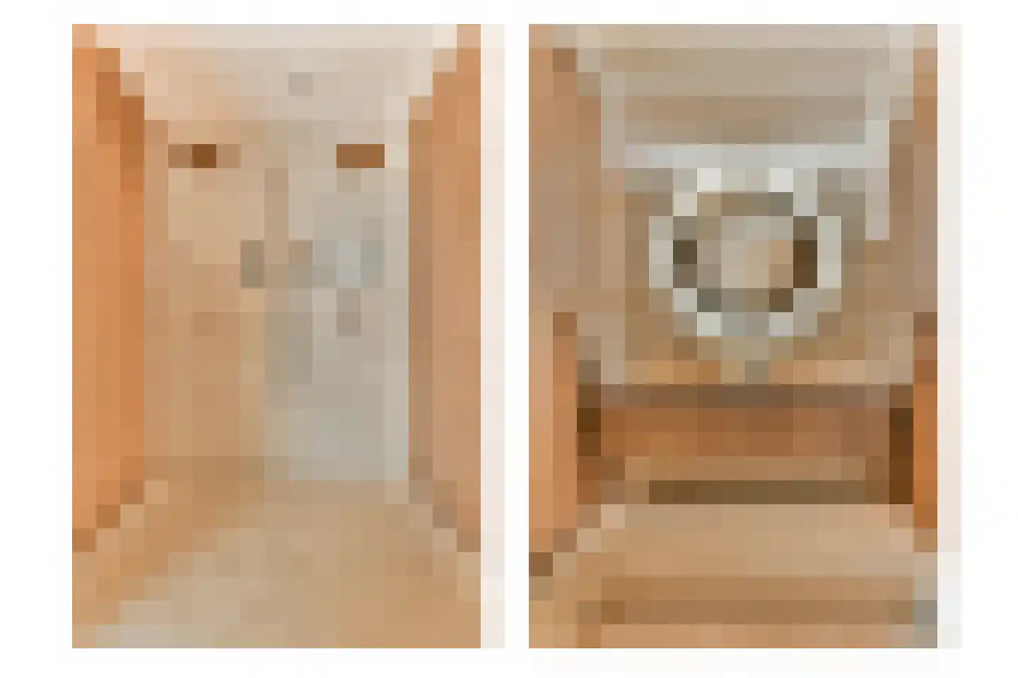 Laan van Zwethof 12 Zoeterwoude thumbnail 22