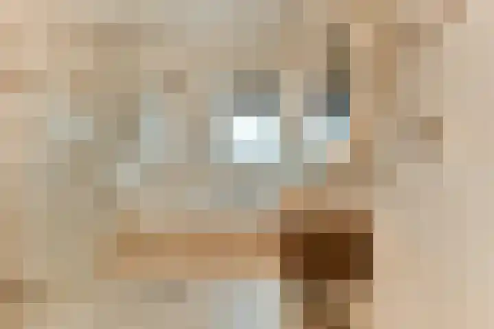 Laan van Zwethof 12 Zoeterwoude thumbnail 24