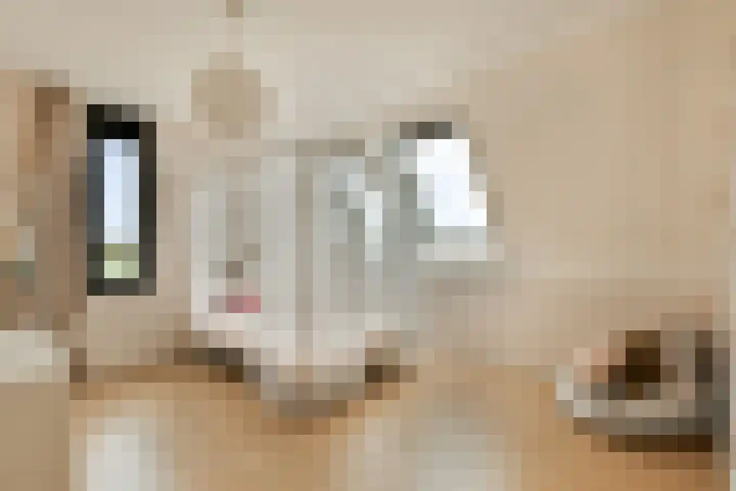 Laan van Zwethof 12 Zoeterwoude thumbnail 28