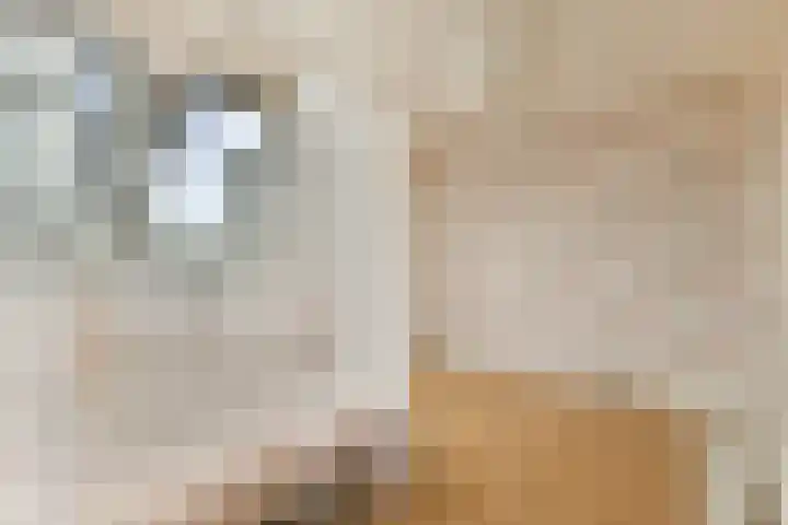 Laan van Zwethof 12 Zoeterwoude thumbnail 29