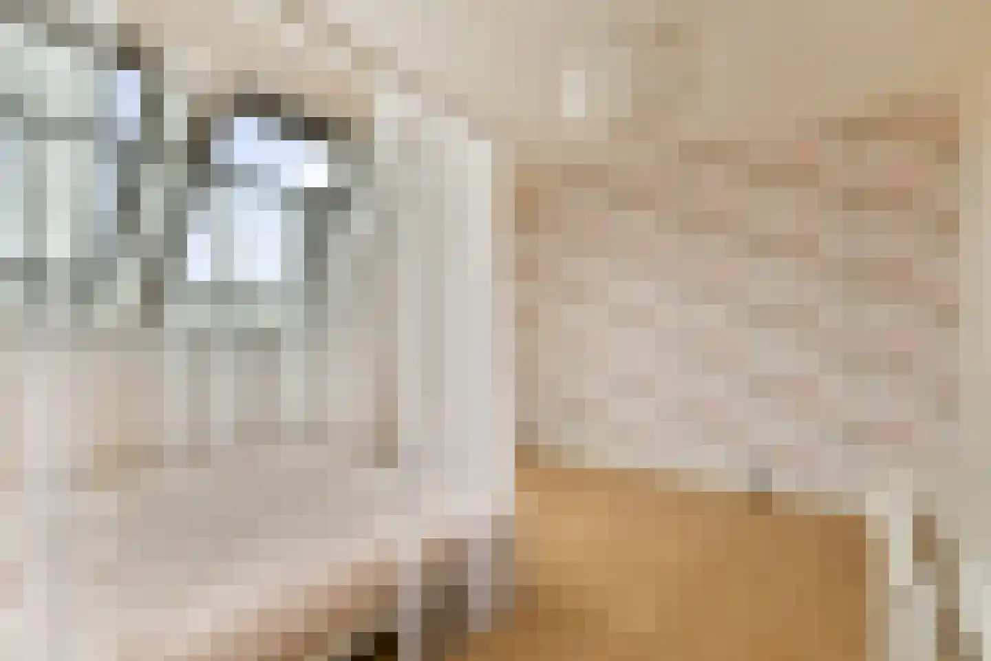 Laan van Zwethof 12 Zoeterwoude thumbnail 29