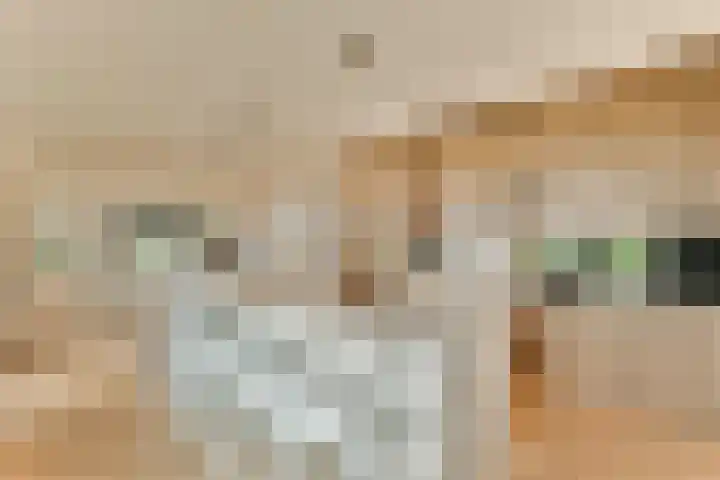 Laan van Zwethof 12 Zoeterwoude foto 3