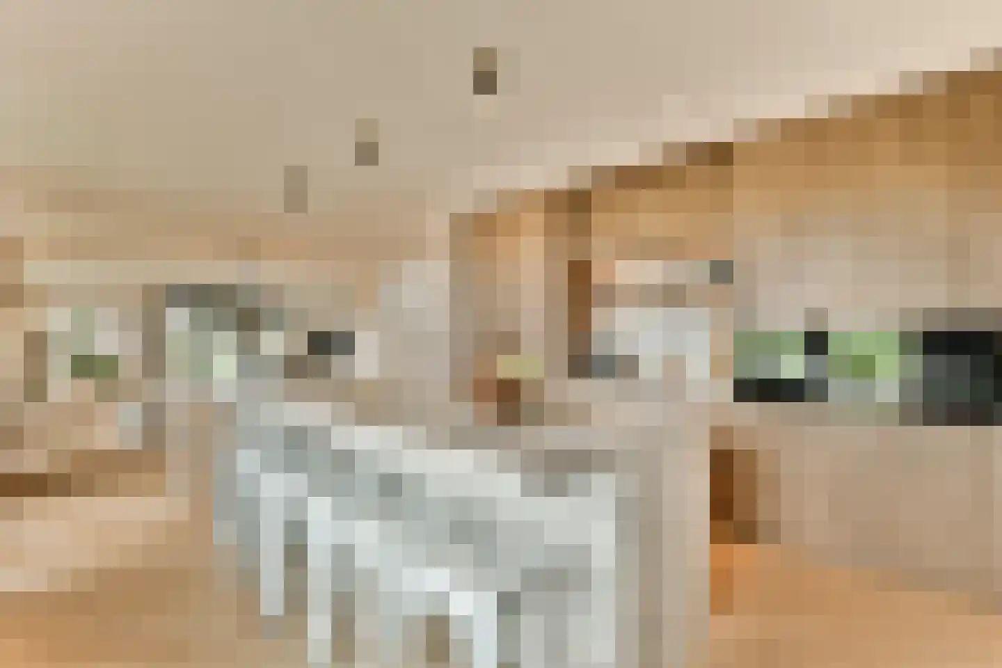 Laan van Zwethof 12 Zoeterwoude foto 3