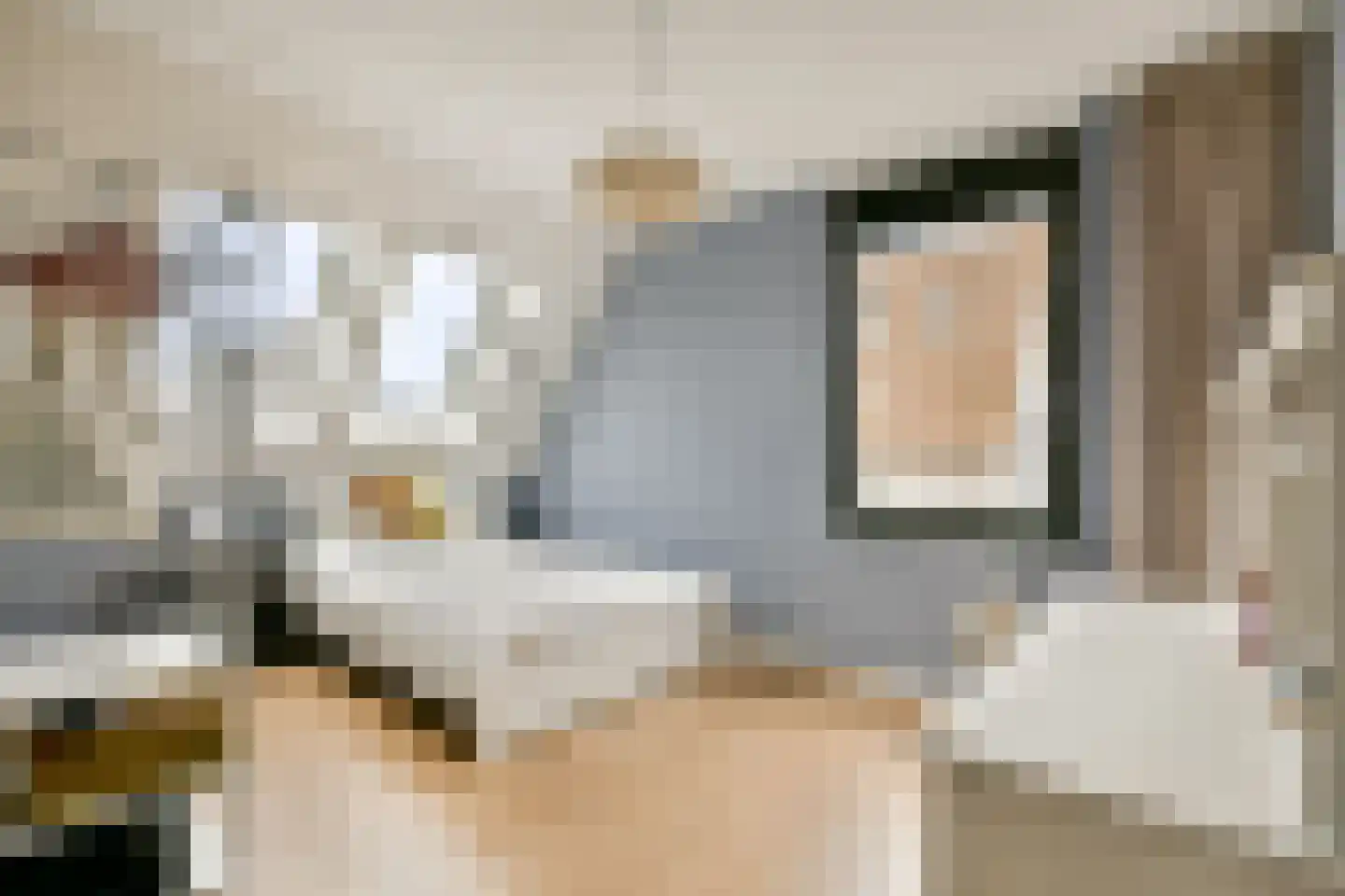 Laan van Zwethof 12 Zoeterwoude thumbnail 30