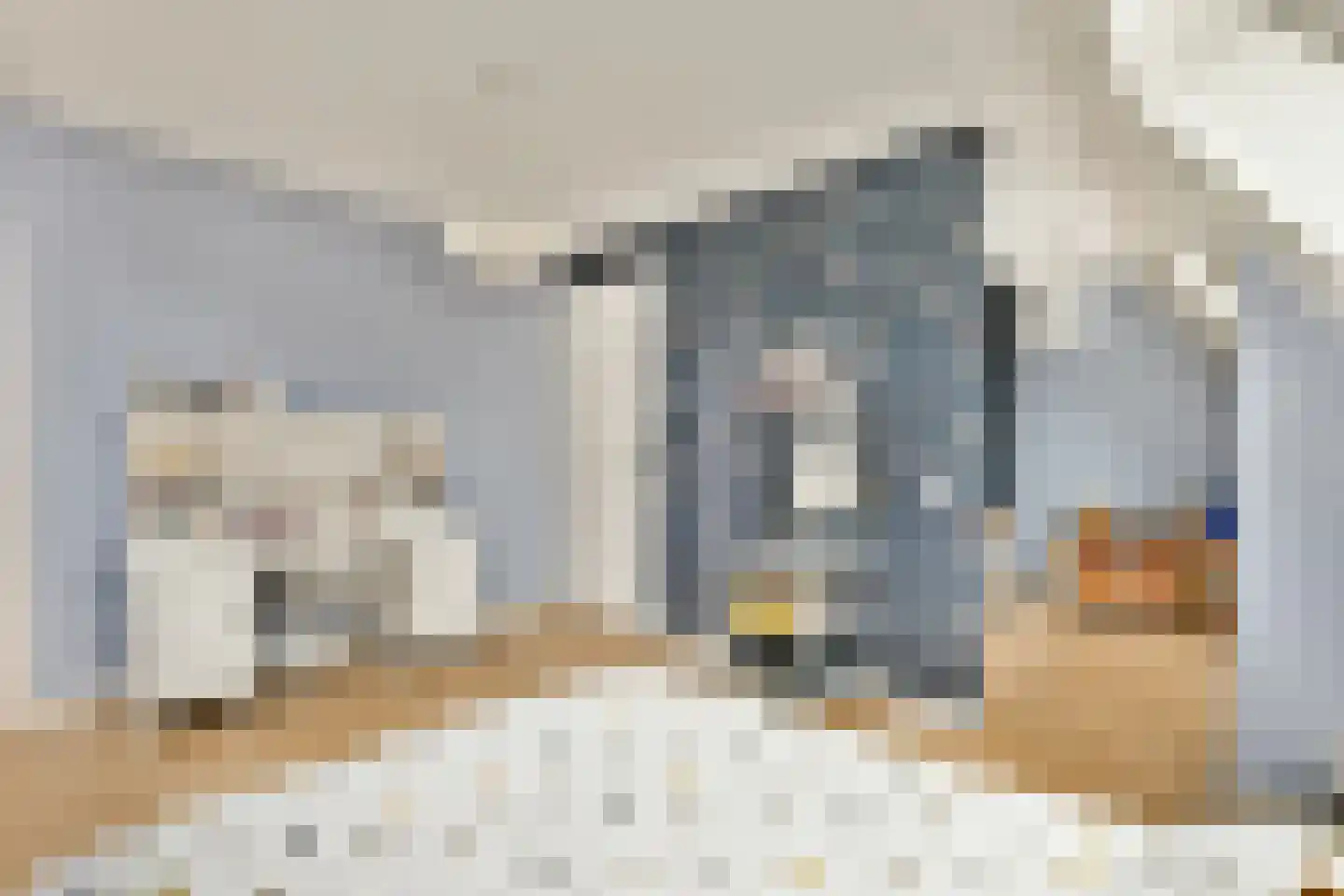 Laan van Zwethof 12 Zoeterwoude thumbnail 31