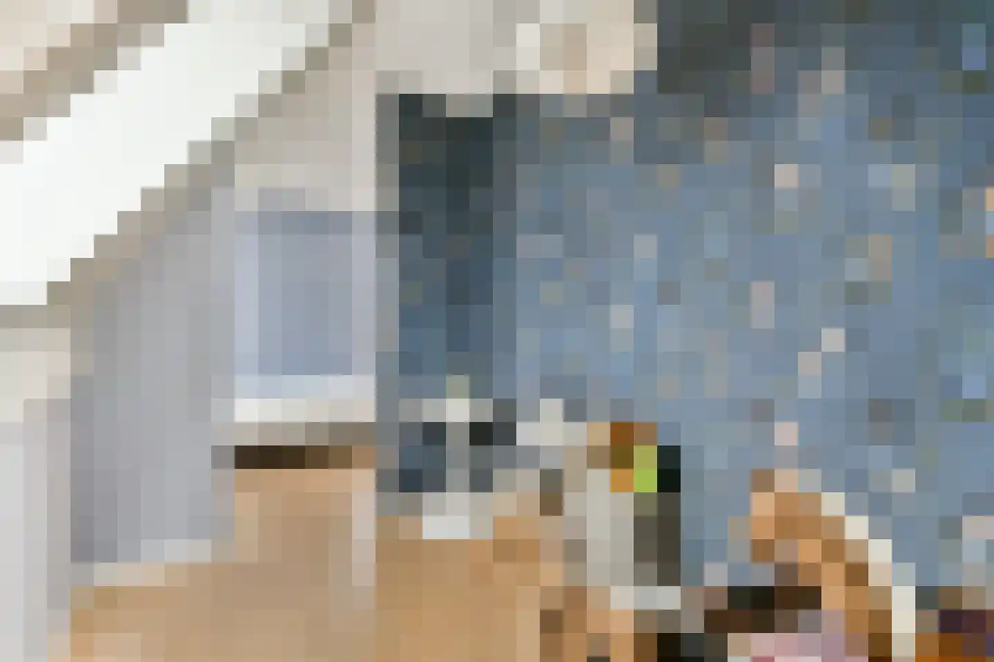 Laan van Zwethof 12 Zoeterwoude thumbnail 32
