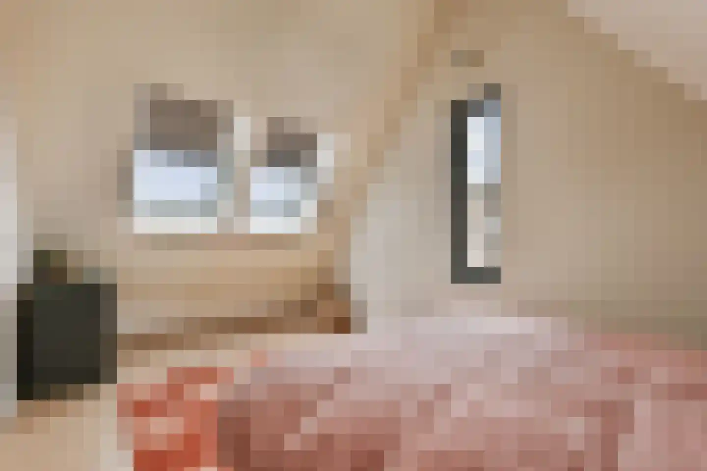Laan van Zwethof 12 Zoeterwoude thumbnail 33