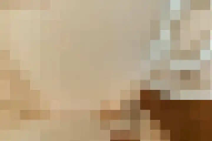 Laan van Zwethof 12 Zoeterwoude thumbnail 35