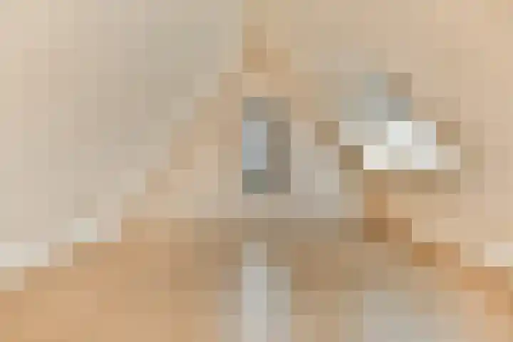 Laan van Zwethof 12 Zoeterwoude thumbnail 38