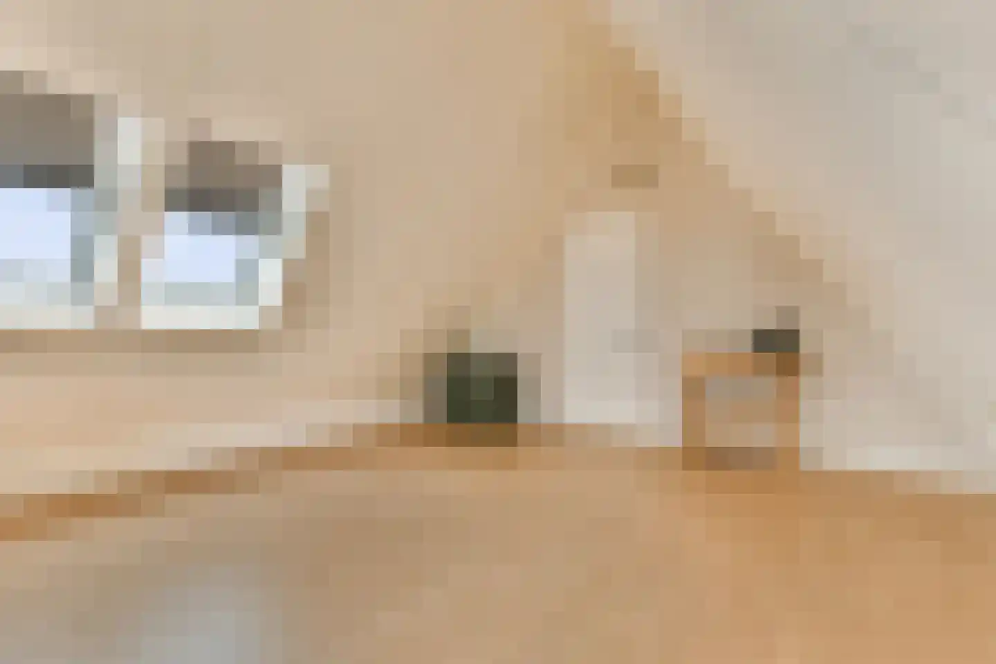 Laan van Zwethof 12 Zoeterwoude thumbnail 39