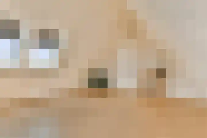 Laan van Zwethof 12 Zoeterwoude thumbnail 39