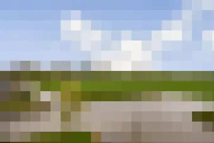 Laan van Zwethof 12 Zoeterwoude thumbnail 40