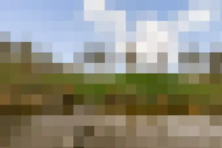 Laan van Zwethof 12 Zoeterwoude thumbnail 42