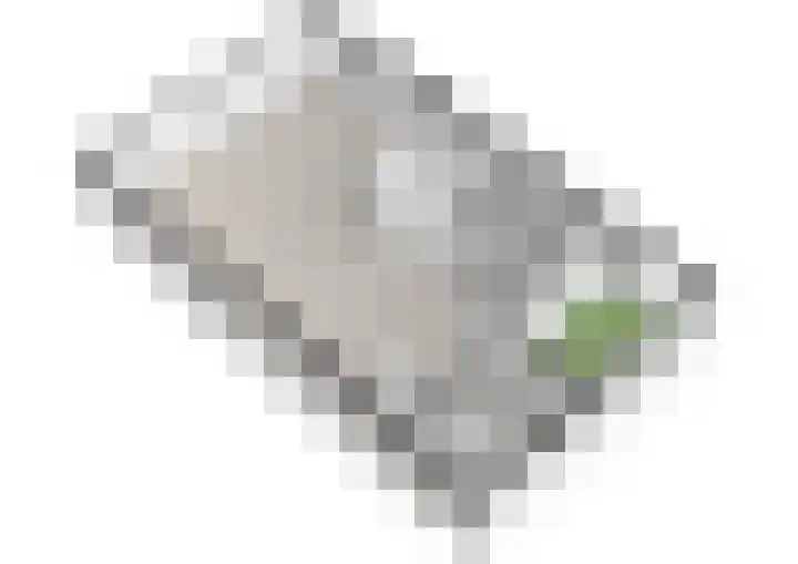 Laan van Zwethof 12 Zoeterwoude thumbnail 44