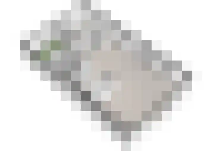 Laan van Zwethof 12 Zoeterwoude thumbnail 45