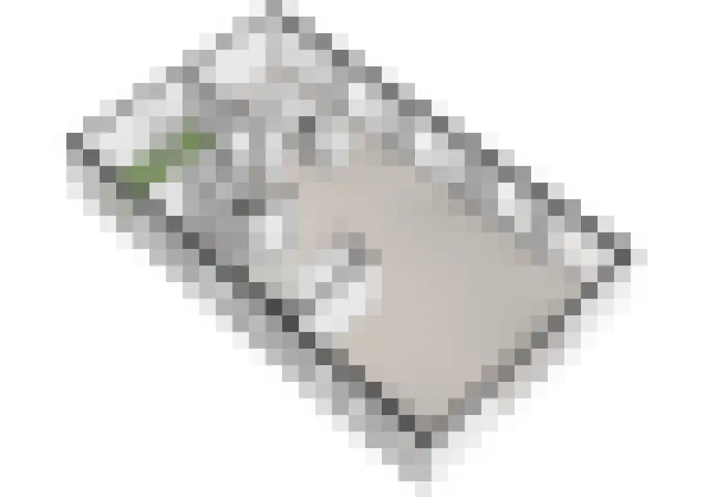 Laan van Zwethof 12 Zoeterwoude thumbnail 45