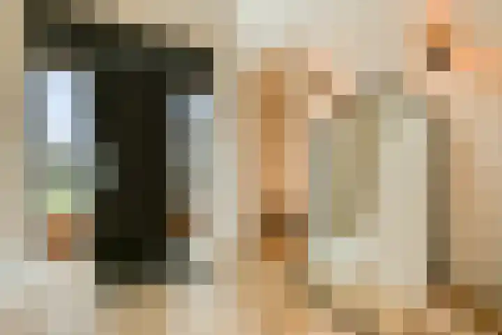 Laan van Zwethof 12 Zoeterwoude thumbnail 5