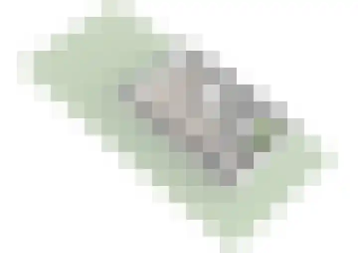 Laan van Zwethof 12 Zoeterwoude thumbnail 52