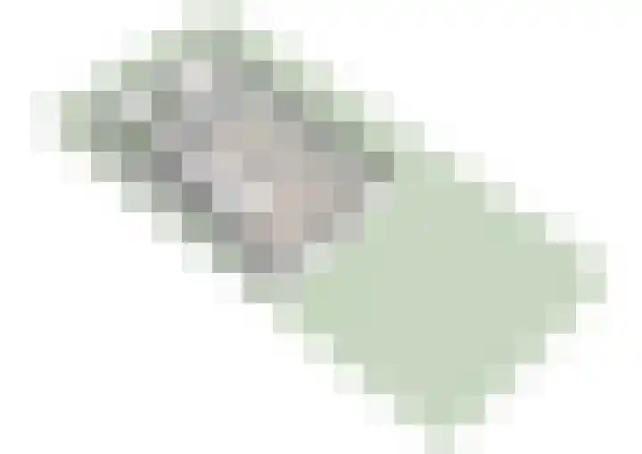 Laan van Zwethof 12 Zoeterwoude thumbnail 53