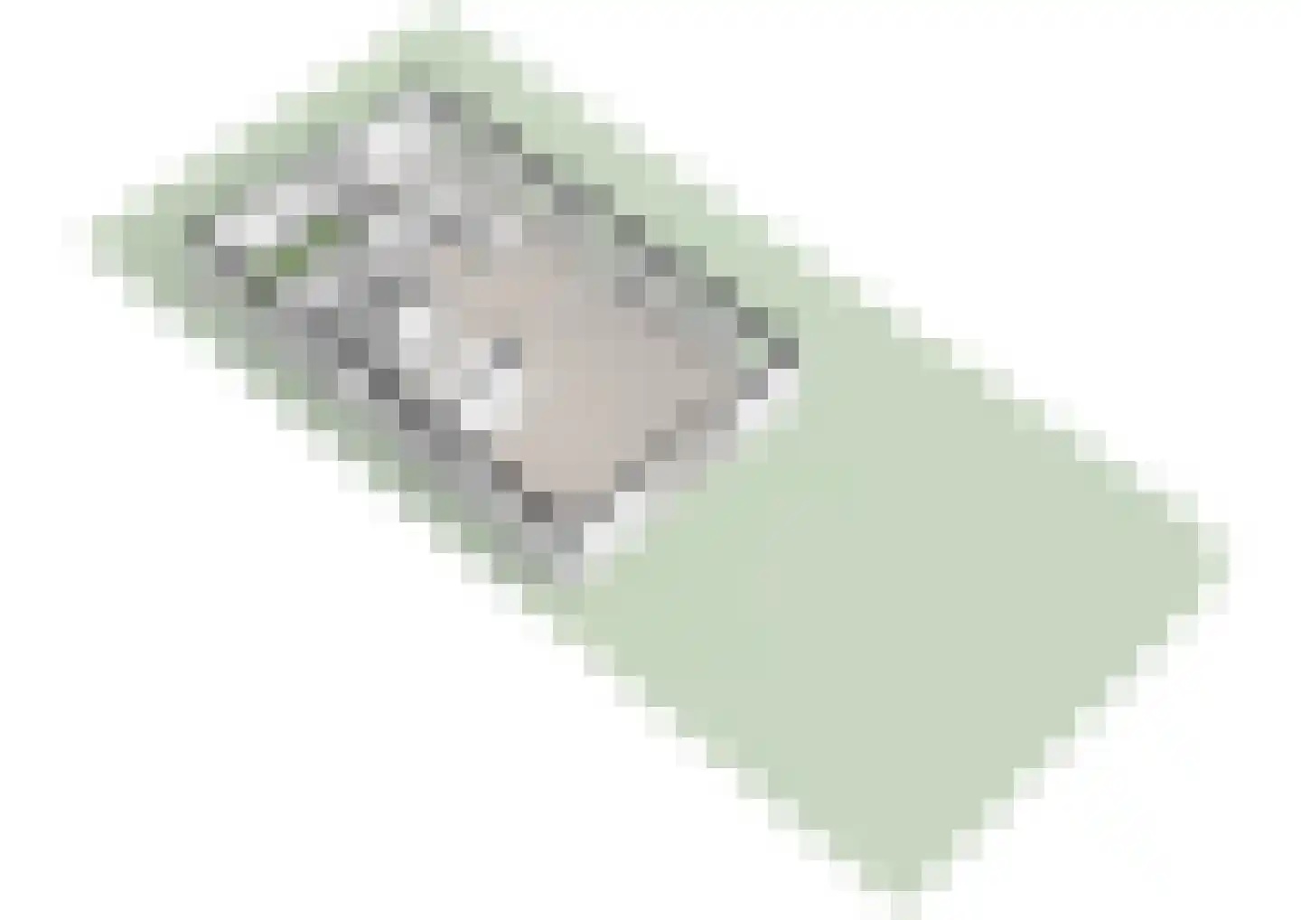 Laan van Zwethof 12 Zoeterwoude thumbnail 53