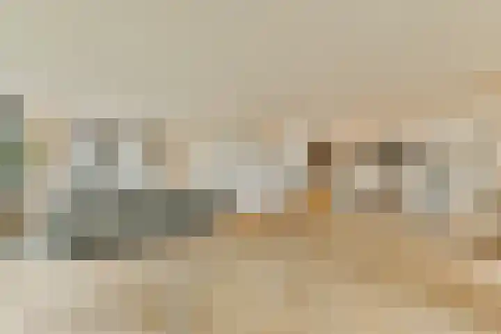 Laan van Zwethof 12 Zoeterwoude thumbnail 6