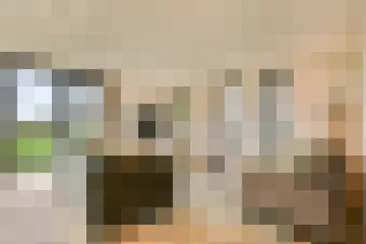 Laan van Zwethof 12 Zoeterwoude thumbnail 7
