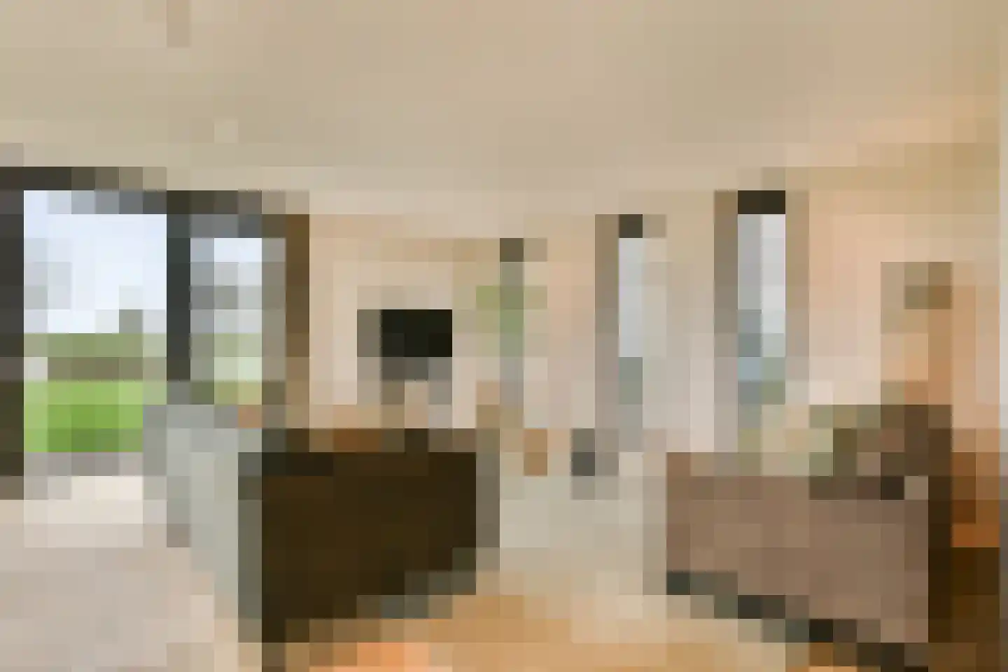 Laan van Zwethof 12 Zoeterwoude thumbnail 7
