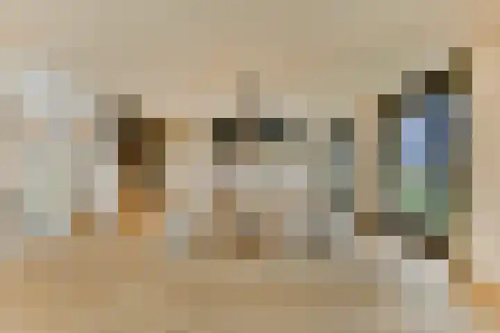 Laan van Zwethof 12 Zoeterwoude thumbnail 8
