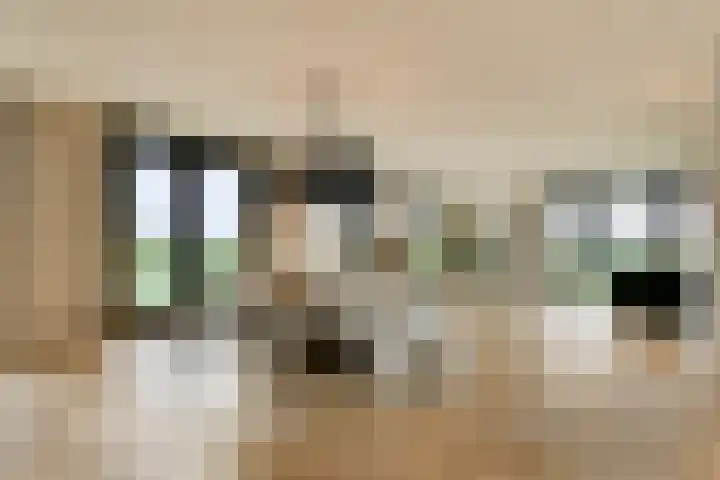 Laan van Zwethof 12 Zoeterwoude thumbnail 9