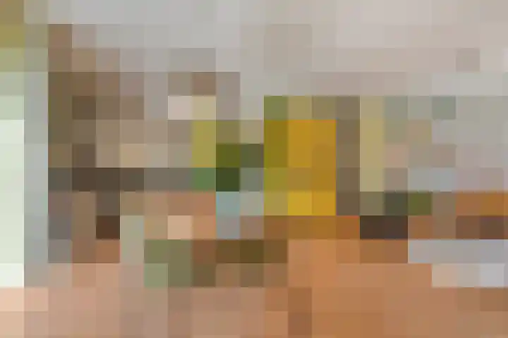 Laan van Zwethof 27 Zoeterwoude thumbnail 10