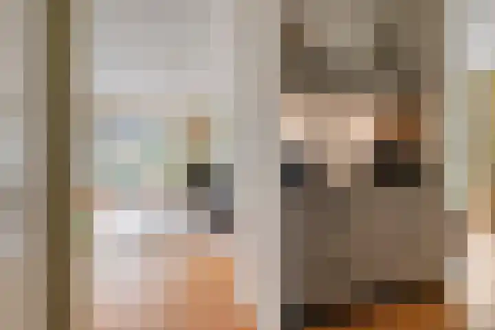 Laan van Zwethof 27 Zoeterwoude thumbnail 14