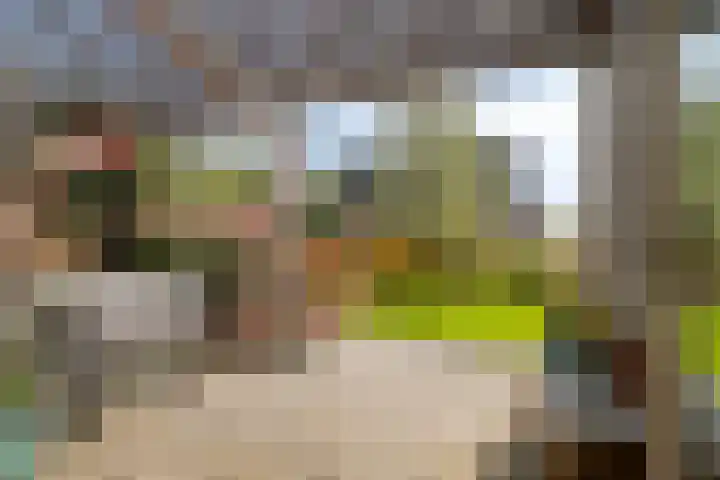 Laan van Zwethof 27 Zoeterwoude thumbnail 16