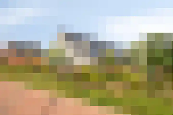 Laan van Zwethof 27 Zoeterwoude foto 2