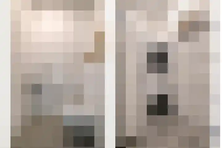 Laan van Zwethof 27 Zoeterwoude thumbnail 22