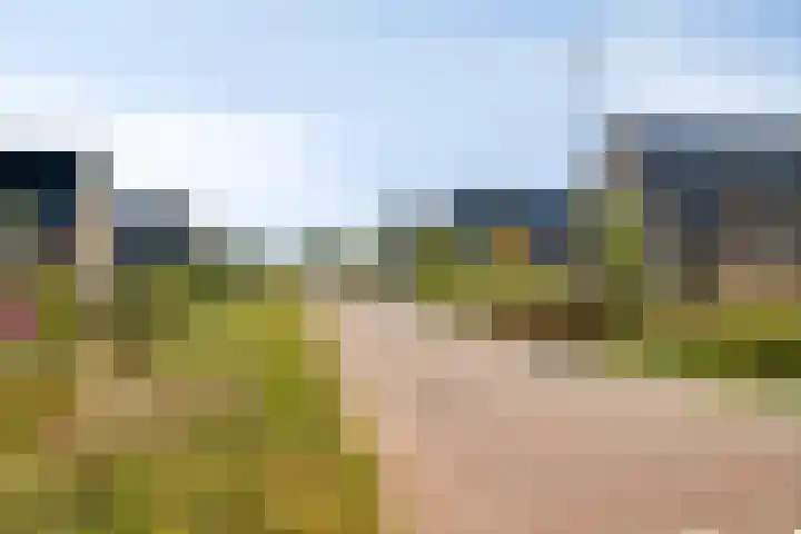 Laan van Zwethof 27 Zoeterwoude thumbnail 37