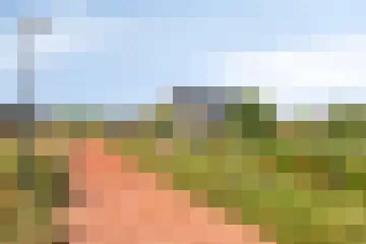 Laan van Zwethof 27 Zoeterwoude thumbnail 38