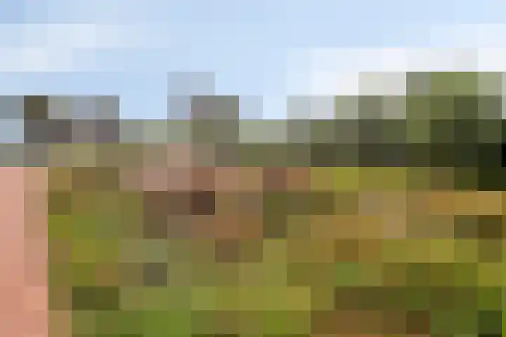 Laan van Zwethof 27 Zoeterwoude thumbnail 39