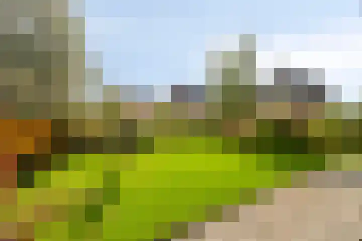 Laan van Zwethof 27 Zoeterwoude thumbnail 4