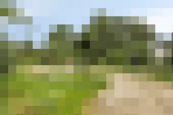 Laan van Zwethof 27 Zoeterwoude thumbnail 40