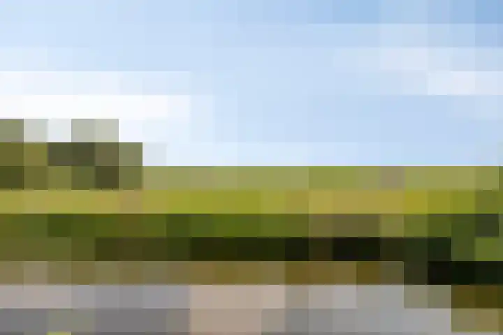 Laan van Zwethof 27 Zoeterwoude thumbnail 41