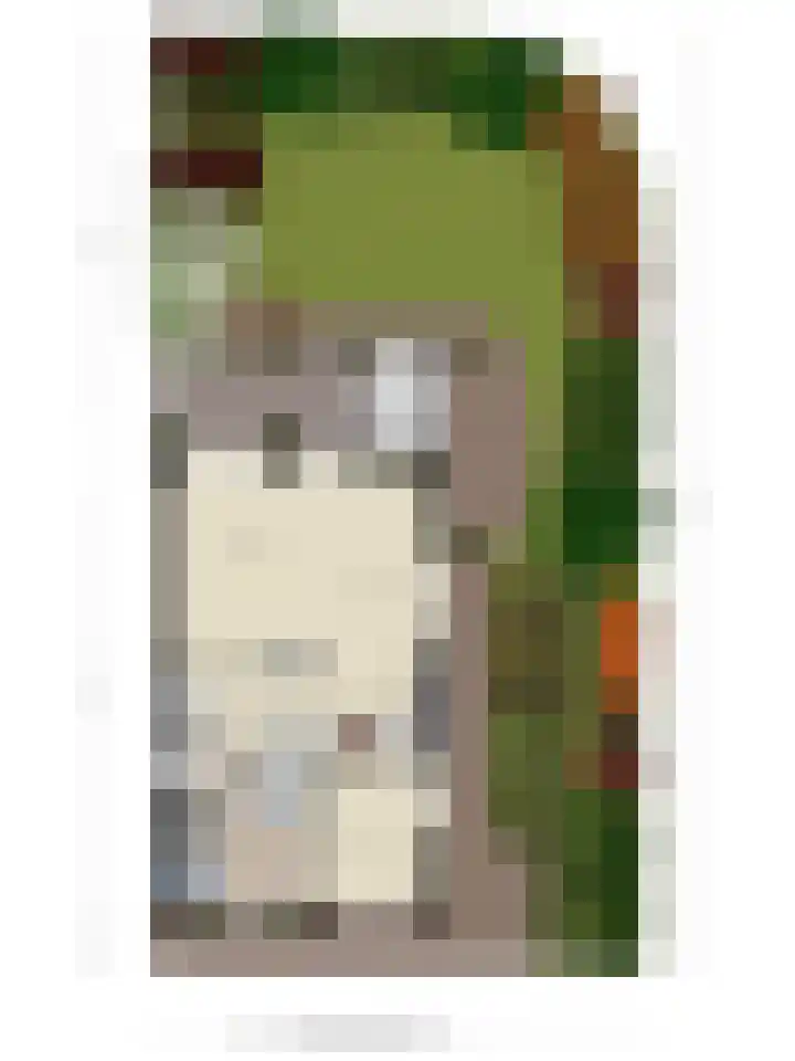 Laan van Zwethof 27 Zoeterwoude thumbnail 45